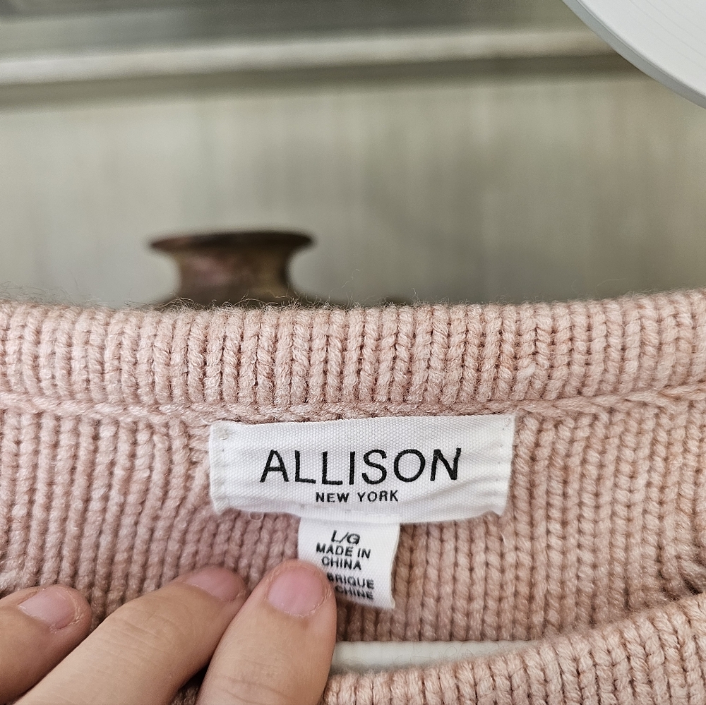 ALLISON NY Adelle Chunky Knit Blush Pink Sweater - Picture 3 of 7